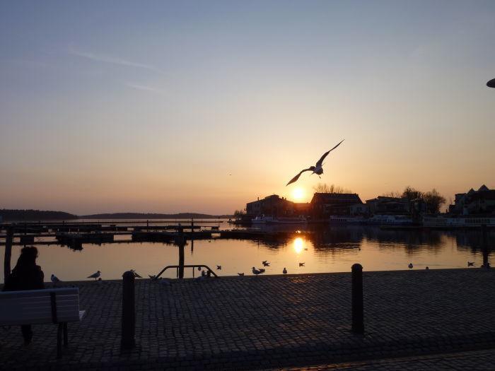Apartment Yachthafen Waren Bagian luar foto